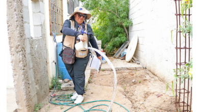 Ciudadanos deben sumarse para reducir la tasa de incidencia de Dengue en Baja California Sur