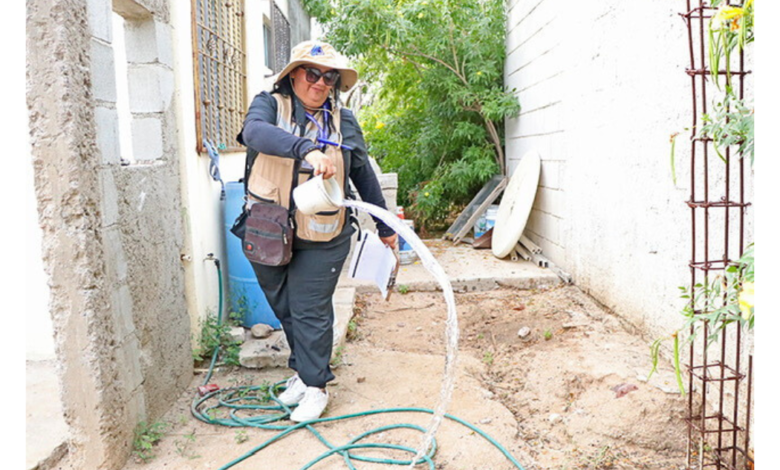 Ciudadanos deben sumarse para reducir la tasa de incidencia de Dengue en Baja California Sur