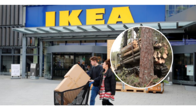 Ikea en el blanco de ecologistas por explotación de madera