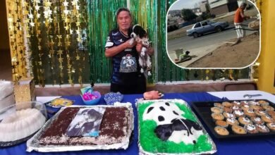 Festejan con gran fiesta 14 años a perrito pachuquense y se vuelve viral