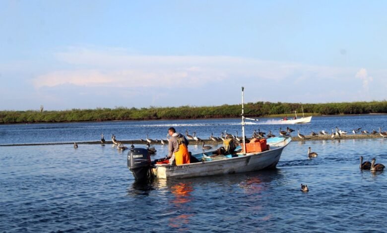 Presenta SEPADA propuesta del programa de ordenamiento pesquero y acuicola ante CONAPESCA