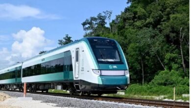 A 18 días de operación, Tren Maya lleva 144 viajes