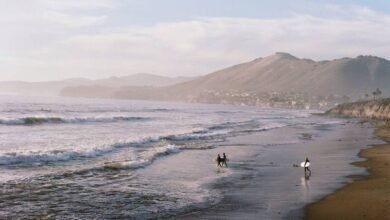 Qué hacer en Baja California Sur, ideas para tus próximas vacaciones