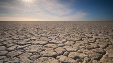 Se pronostica mayor sequía en 2024 en varios estados mexicanos