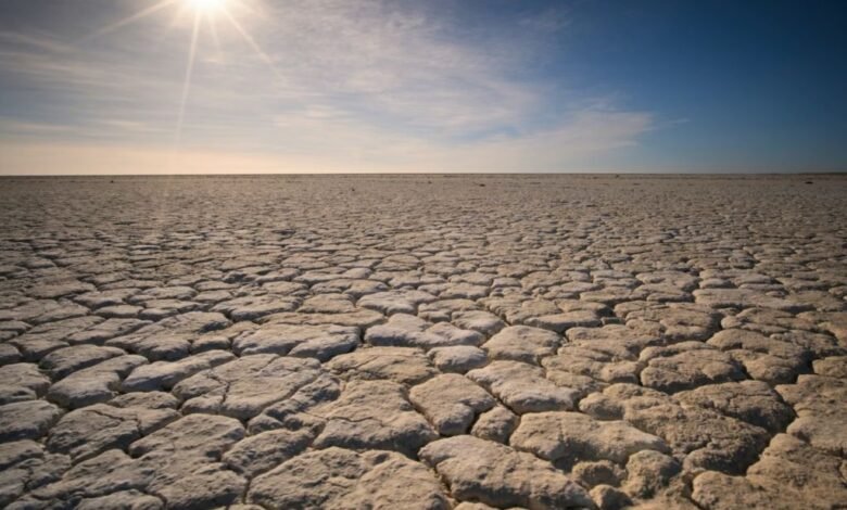 Se pronostica mayor sequía en 2024 en varios estados mexicanos