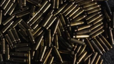 Triunfo judicial para México en demanda contra fabricantes de armas en EE. UU.