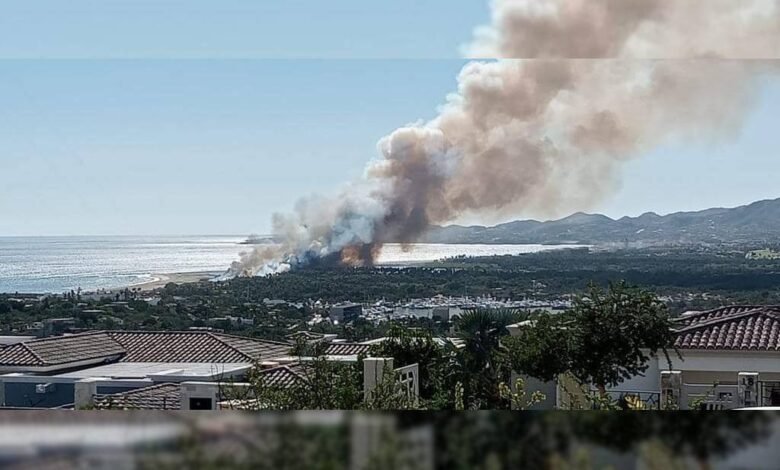 Se reporta incendio en los Palmares del estero
