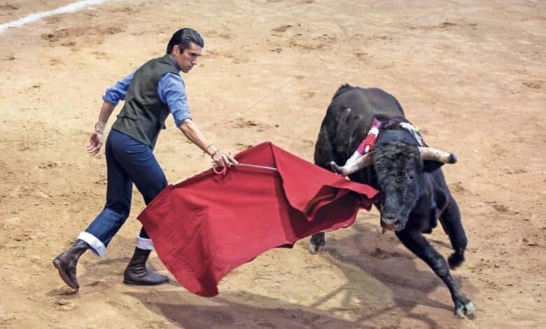 Corridas de toros: ¿qué países y lugares han decidido prohibirlas?