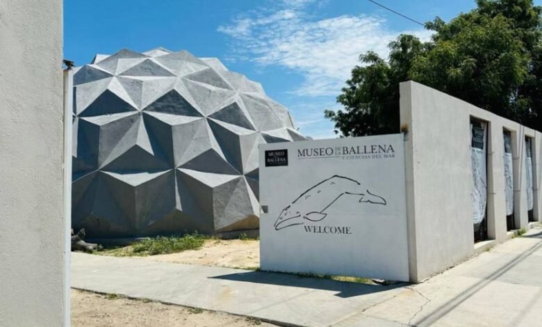 Descubre el Museo de la Ballena en La Paz, Baja California Sur
