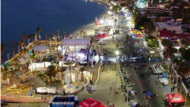 Podan árboles para evitar que la gente se suba durante conciertos del Carnaval de La Paz