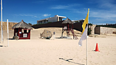 Izan bandera blanca en Playa El Médano de Los Cabos por presencia de medusas