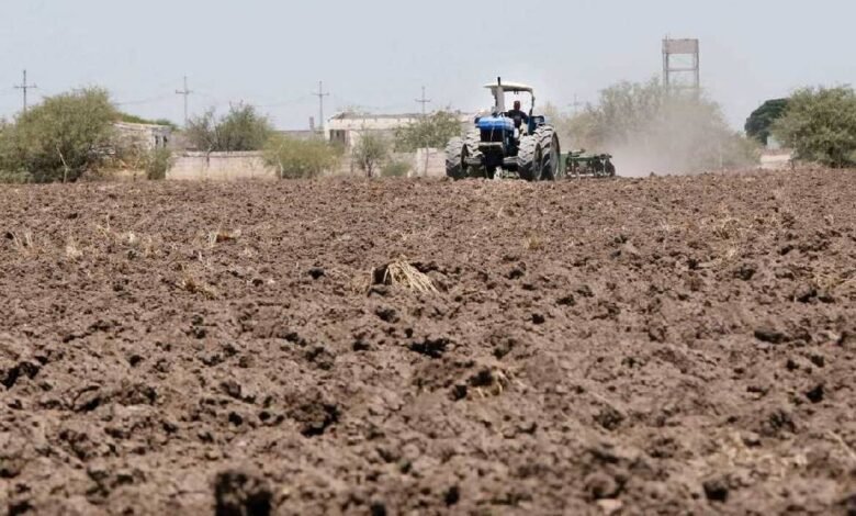 Por sequía, Jalisco lanza programa de apoyo a productores del campo