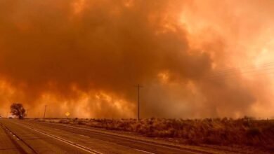 Texas en alerta por intensos incendios forestales