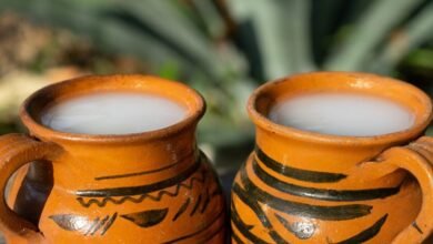 Qué tan saludable es tomar pulque