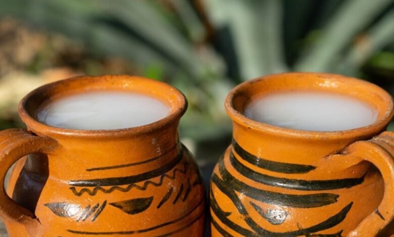 Qué tan saludable es tomar pulque