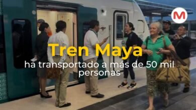 Yucatan | Tren Maya ha transportado a más de 50 mil personas