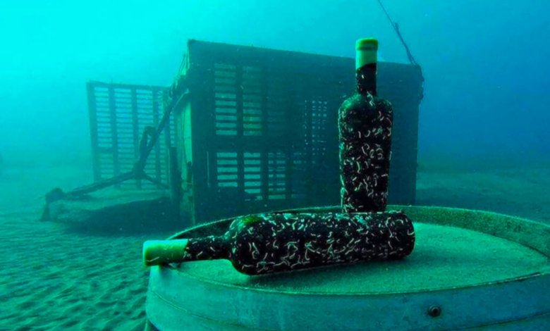 Video: Envejecen el vino en las profundidades del mar en Puerto Nuevo, Mulegé