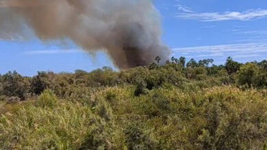 Incendio devora 40 hectáreas del Estero de San José del Cabo