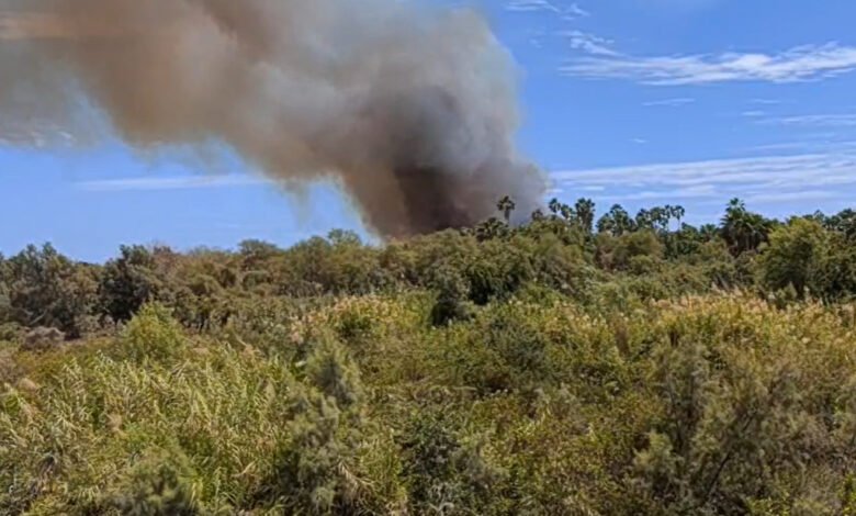 Incendio devora 40 hectáreas del Estero de San José del Cabo