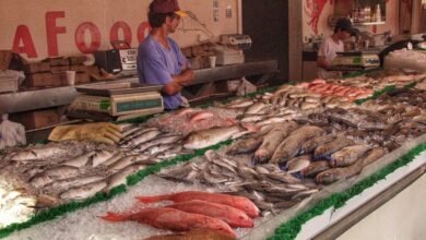 Precio de pescados y mariscos aumentan durante la cuaresma
