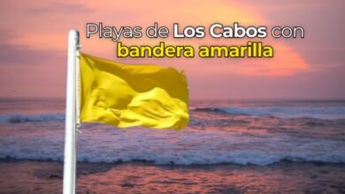 Playas de Los Cabos mayormente en estado de bandera amarilla