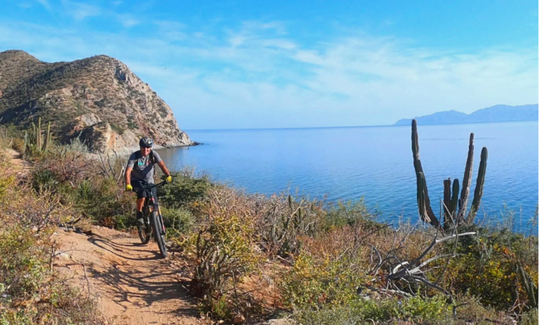 Baja California Sur, destino ideal para realizar ciclismo de montaña