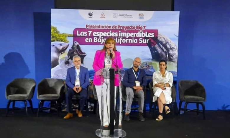 Promueven a Baja California Sur como destino turístico sustentable