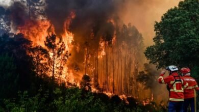 Proponen 25 años de cárcel a quien provoque adrede incendio forestal