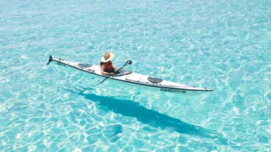 ¿Cuáles son las mejores playas para hacer Kayak en Baja California Sur?