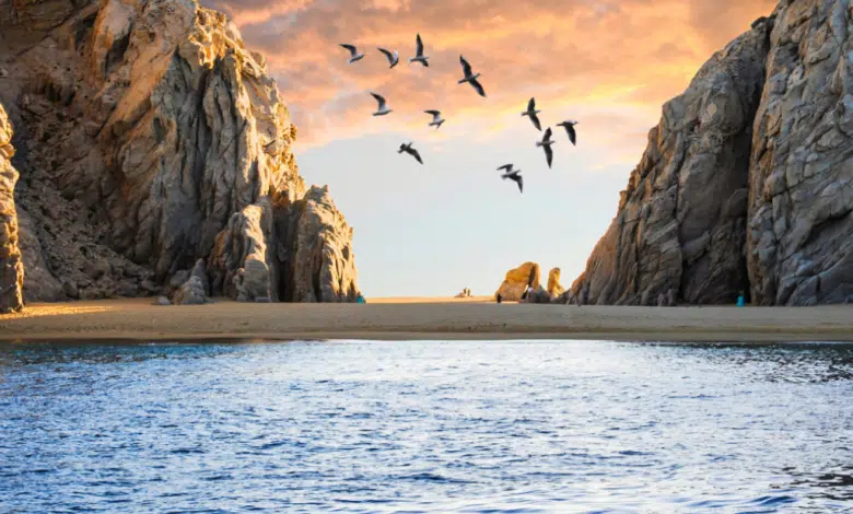 Estos son los cinco lugares más instagrameables de Los Cabos