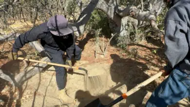 Encuentran ocho fosas clandestinas en Baja California Sur