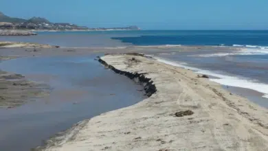 Se abre la bocana del estero josefino en Baja California Sur