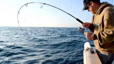 Realizarán torneo de pesca deportiva 'Buena Vista 1952' en Los Cabos