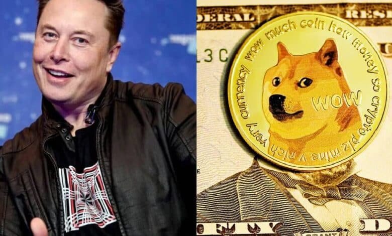 Elon Musk reacciona a la muerte la perrita que inspiró a Dogecoin