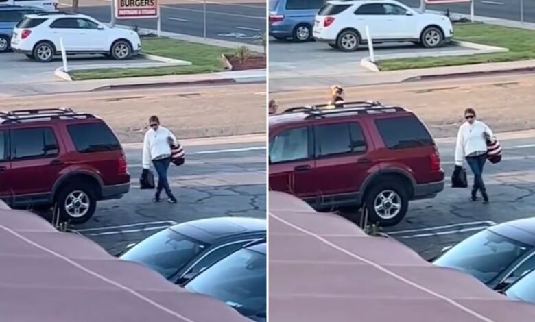Video: Captan a misteriosa mujer “congelada” en estacionamiento
