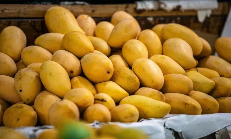 Importación de mangos también ha sido suspendida por EU