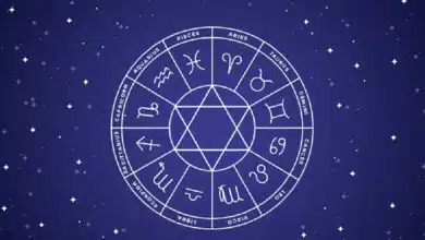 Explora los signos del zodíaco