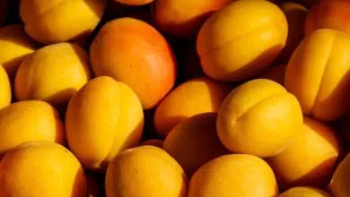 Estas son las frutas que no elevan el azúcar en sangre