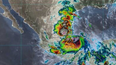 Tormenta tropical "Alberto" se degrada a baja presión