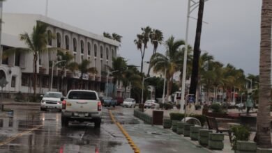 hoteleros protegen de ciclones