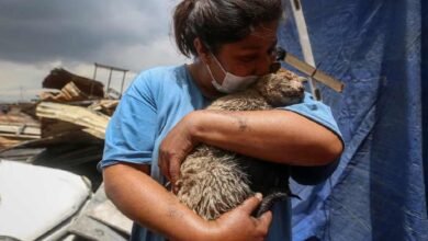 Encuentra a su gato "Mazapán" tras incendio en Nezahualcóyotl