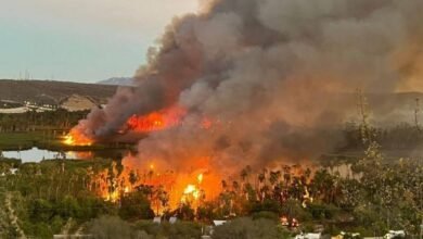 Incendios Forestales Afectan Más de 62 Hectáreas en Baja California Sur