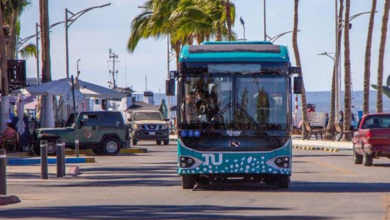 Tiburón Urbano en La Paz: Nuevos paraderos seguros y modernos para mujeres y niñas