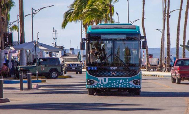 Tiburón Urbano en La Paz: Nuevos paraderos seguros y modernos para mujeres y niñas