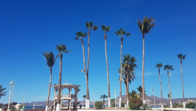 Todo lo que tienes que conocer del malecón de La Paz