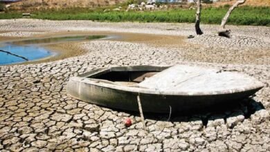 Sequía en México disminuye 33% debido a las lluvias, dice Conagua