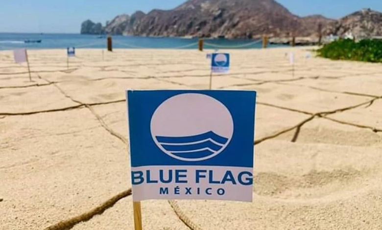 Playas Blue Flag en Los Cabos: Limpieza, seguridad y compromiso ambiental