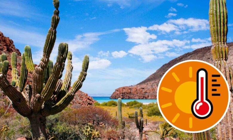 Baja California Sur: El Desierto que desafía con su calor extremo y la clave de la hidratación en la canícula