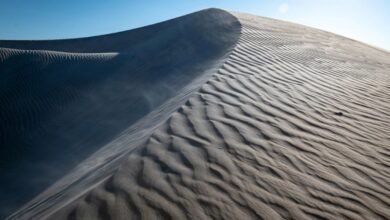 Entre el mar y la tierra: Las dunas de arena en La Paz