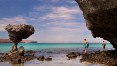 Vacaciones de verano en Playa Balandra: Actividades imperdibles para los visitantes nacionales